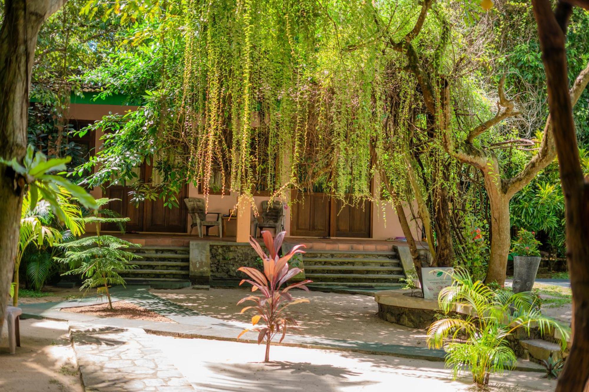 Monkey Villa Hikkaduwa Exterior photo